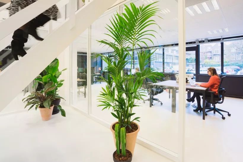 制定计划后就立即行动,制定计划后达到的效果