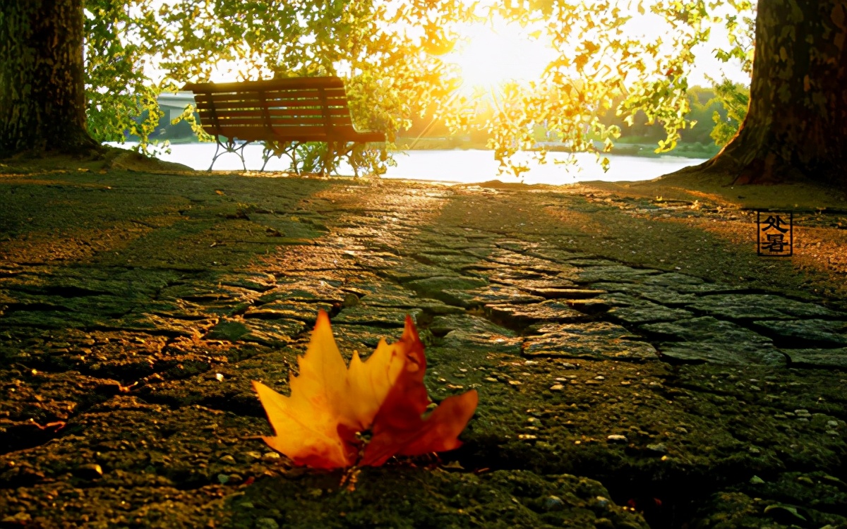 处暑是什么意思处暑的来历和风俗,处暑节气的含义是什么处暑吃啥好