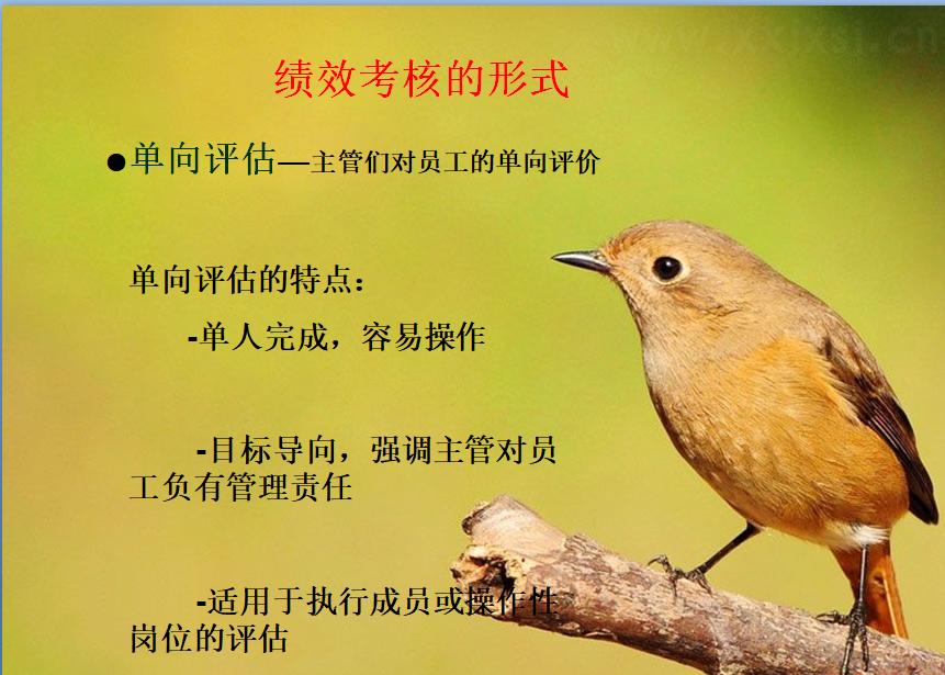 啤酒业务员奖励方案,青岛啤酒销售业务员挣钱吗