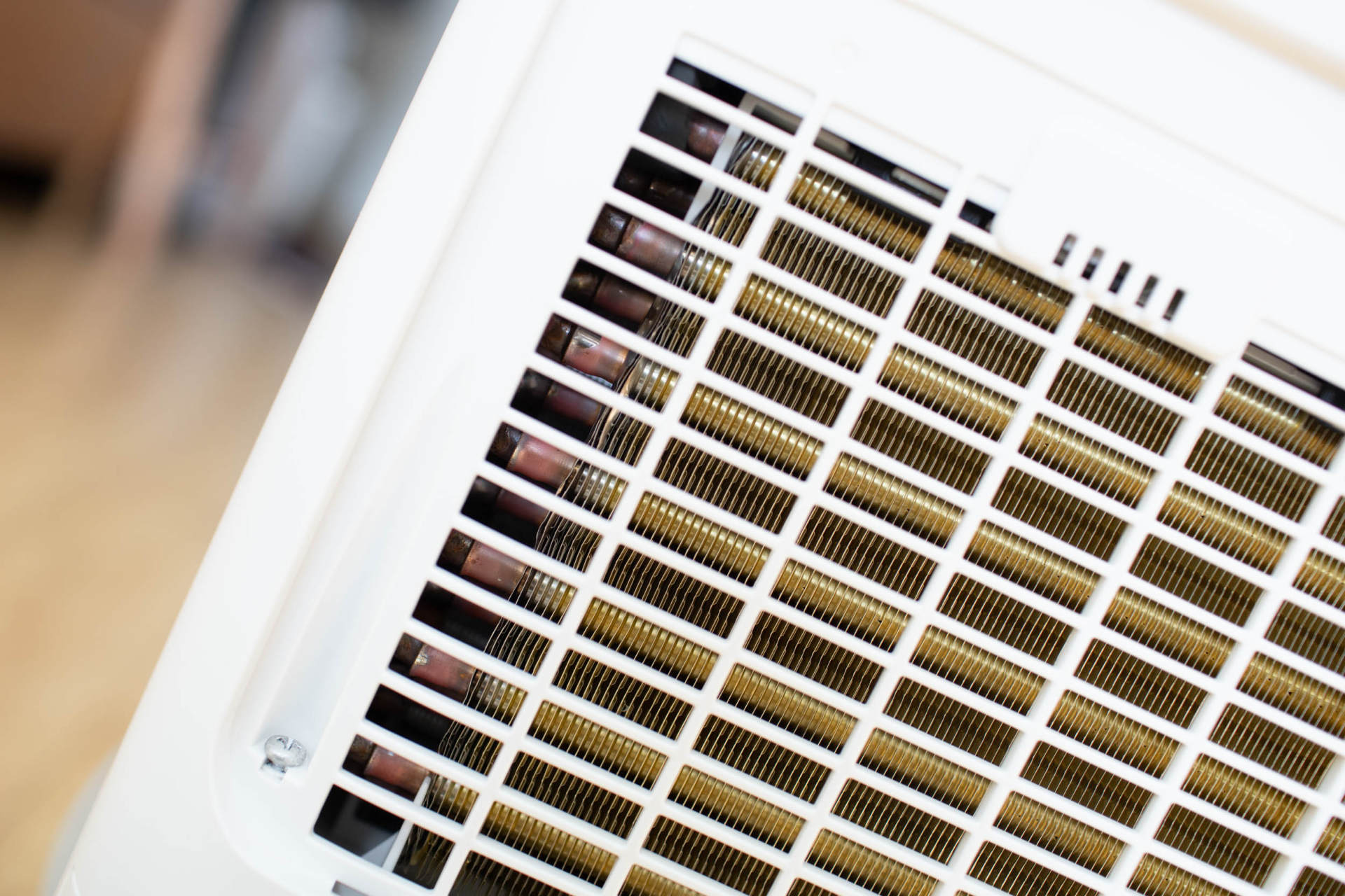 抵御南方湿冷的魔法攻击，小而强悍的伊岛*湿机除**