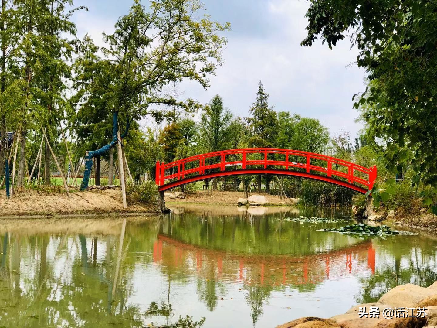 南京赏花的地方有哪里,南京赏花踏青