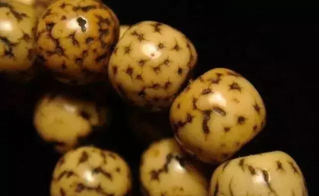 星月菩提怎么盘玩更亮更容易上色,星月菩提各个品种盘出效果