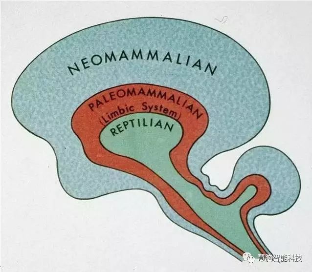 大脑工作原理,一张图看懂人类大脑工作原理
