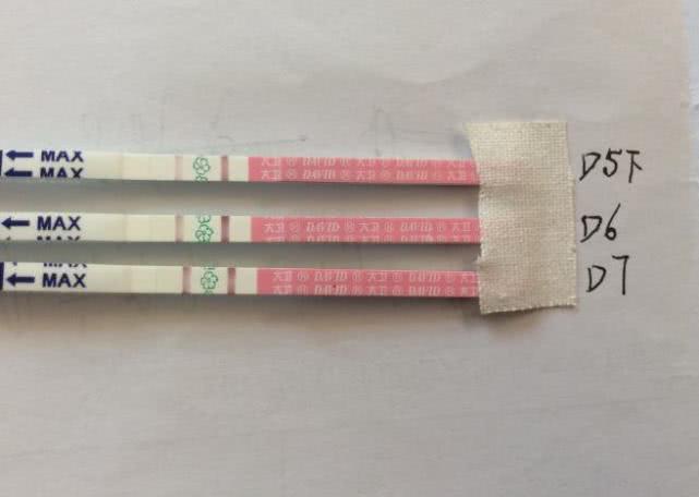 备孕很久都没中是排卵期延迟了吗,排卵期提前受孕就早吗