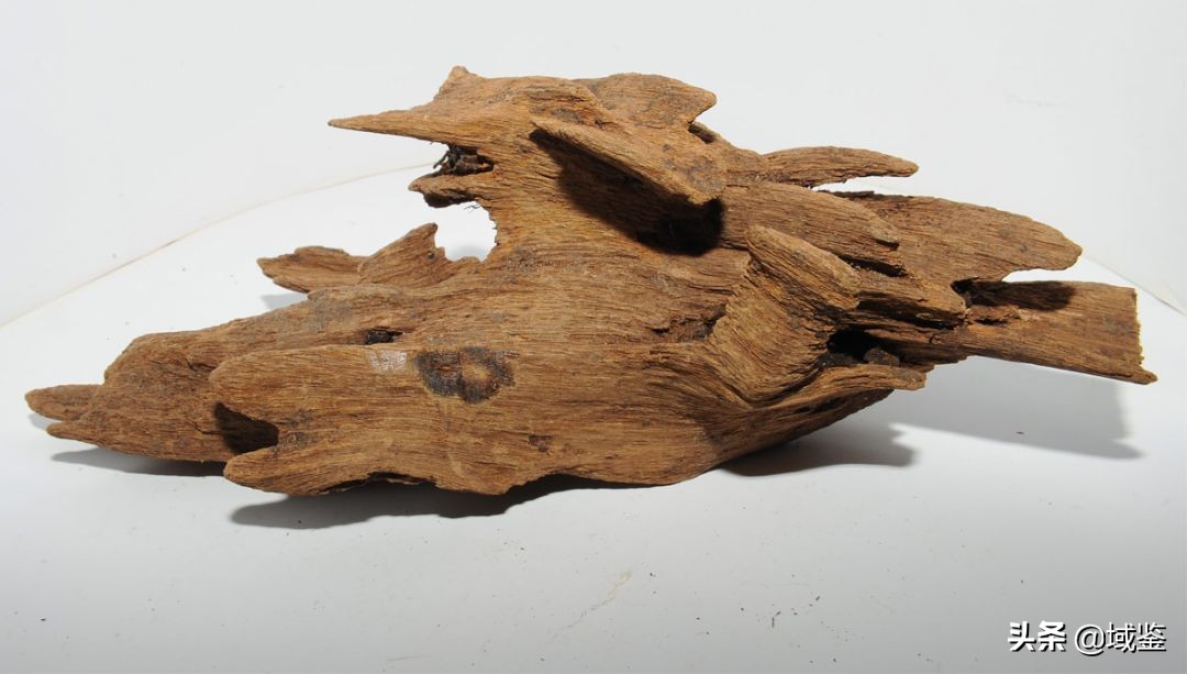 比黄金贵的木头沉香,沉香木比黄金贵