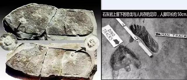 考古发现疑似“远古外星人”证据，人类的起源让人细思极恐