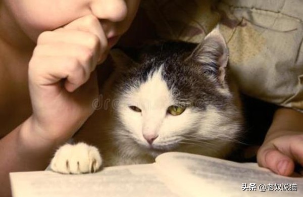 男朋友打猫是什么心理,男朋友经常打女友该怎么办