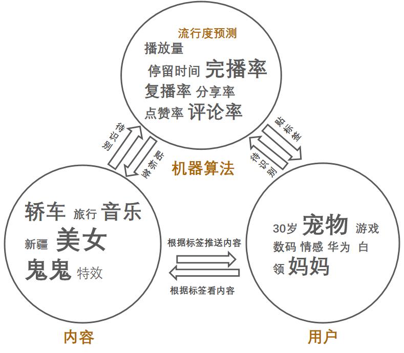 鎶栭煶缃戠孩浠殑鐪熷疄鑱屼笟,鐩樼偣鎶栭煶缃戠孩浠殑鐪熷疄鑱屼笟