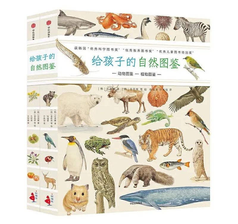 京东vs中信童书，羽佳为你列好了书单