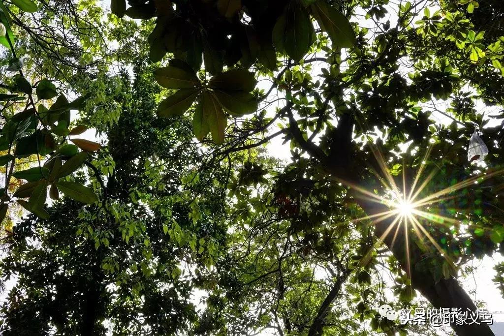 义乌稠城三小与福田小学,义乌市稠城第三小学老校区