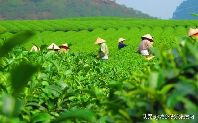 鐧句簨鍙箰璺ㄧ晫鍚堜綔,鐧句簨鍙箰甯傚満鎬荤洃
