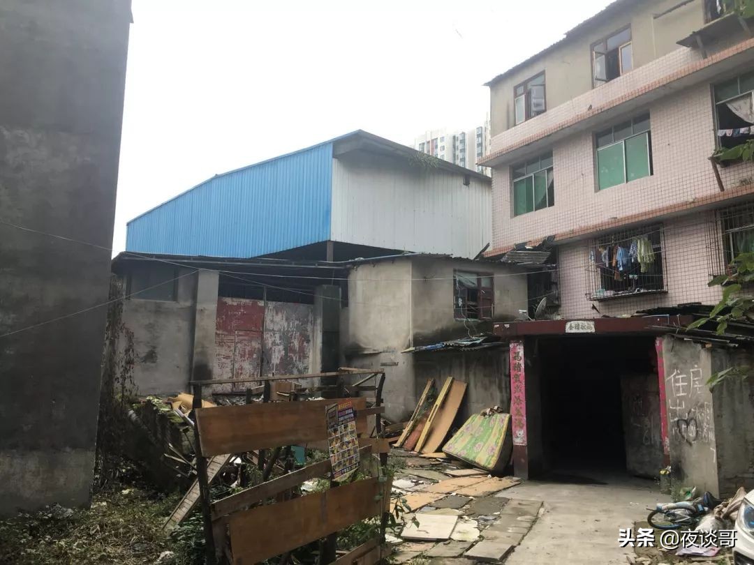 来成都感受这里的慢生活,来成都一年的感受