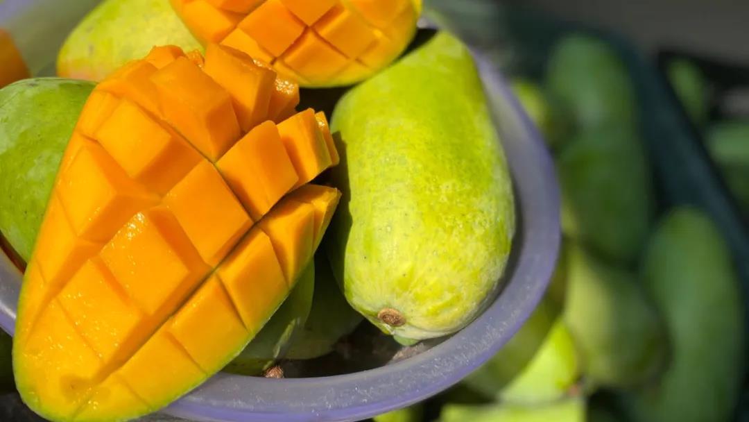 越南大青芒芒果口感,越南的大青芒好吃吗