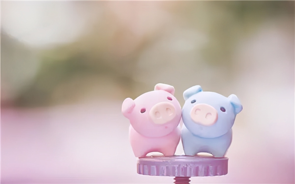 怎么通过网络发财,怎样通过无线网挣钱