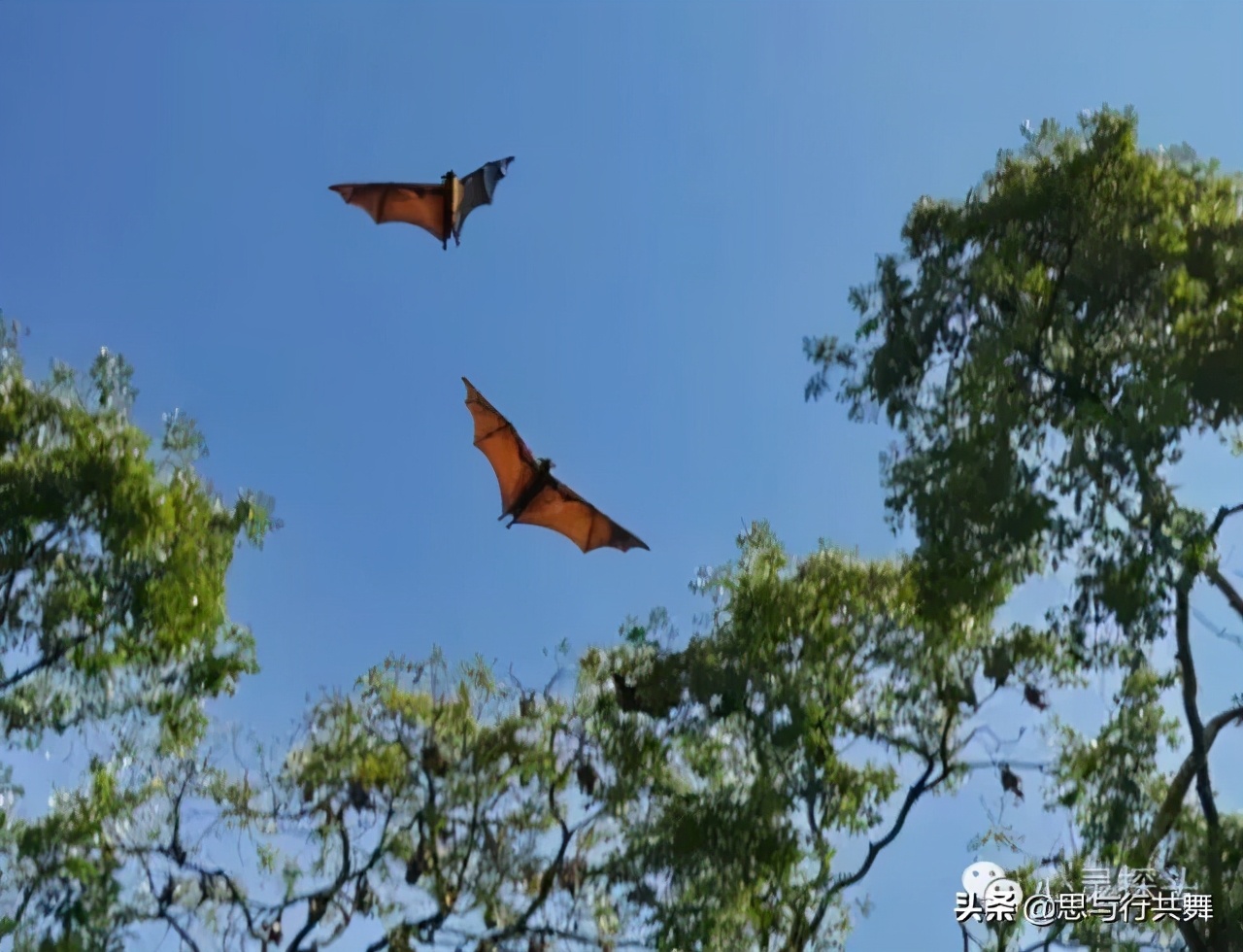 交友之道则友为先,交友之道有哪些