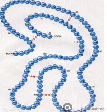 禽大肠杆菌特效药,哪种中药对鸡大肠杆菌有效