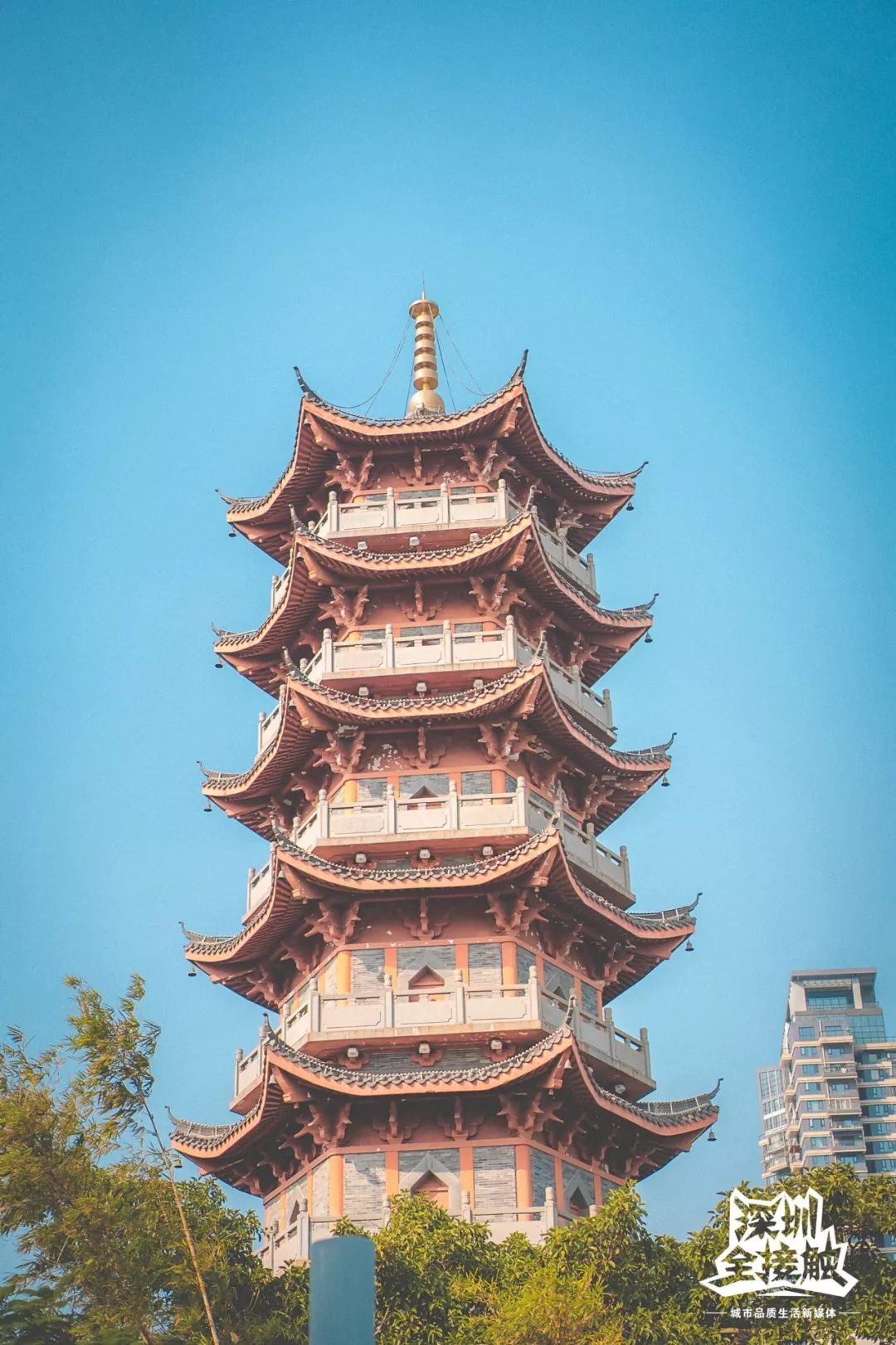 再见了，香港！深圳这条街也能免税买港货啦