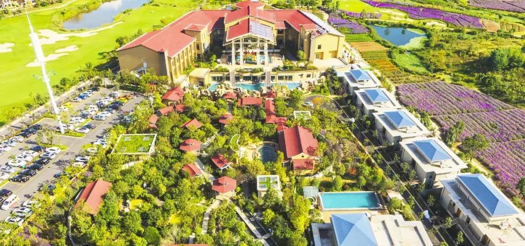 曲靖这31个景点你都去过了吗,曲靖千亩花海美景