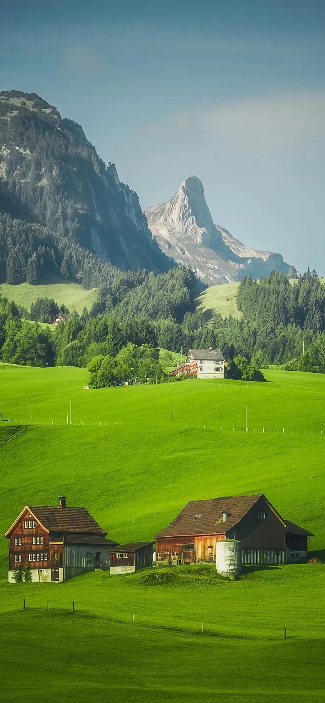 小清新全屏壁纸高清,小清新高清壁纸4k全屏无水印