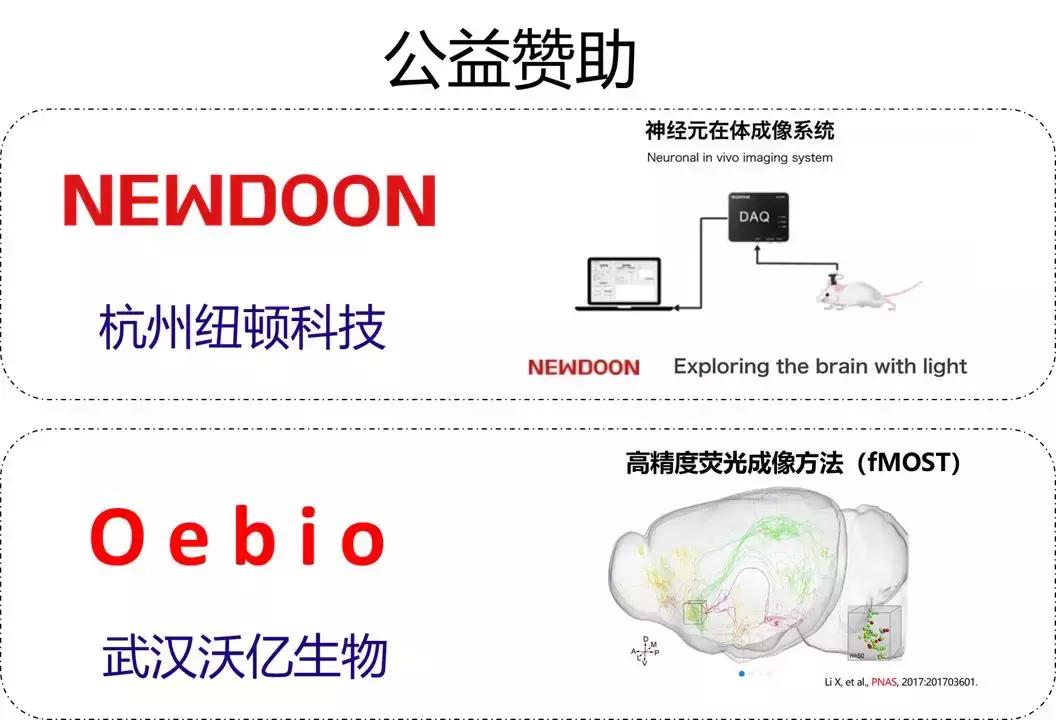 脑科学日报官网,脑科学日报完整版