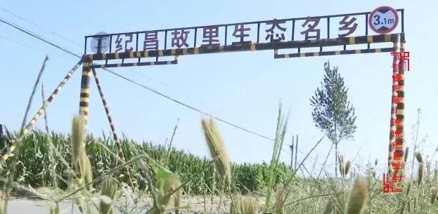 宁晋算命高人,宁晋市最有名的人