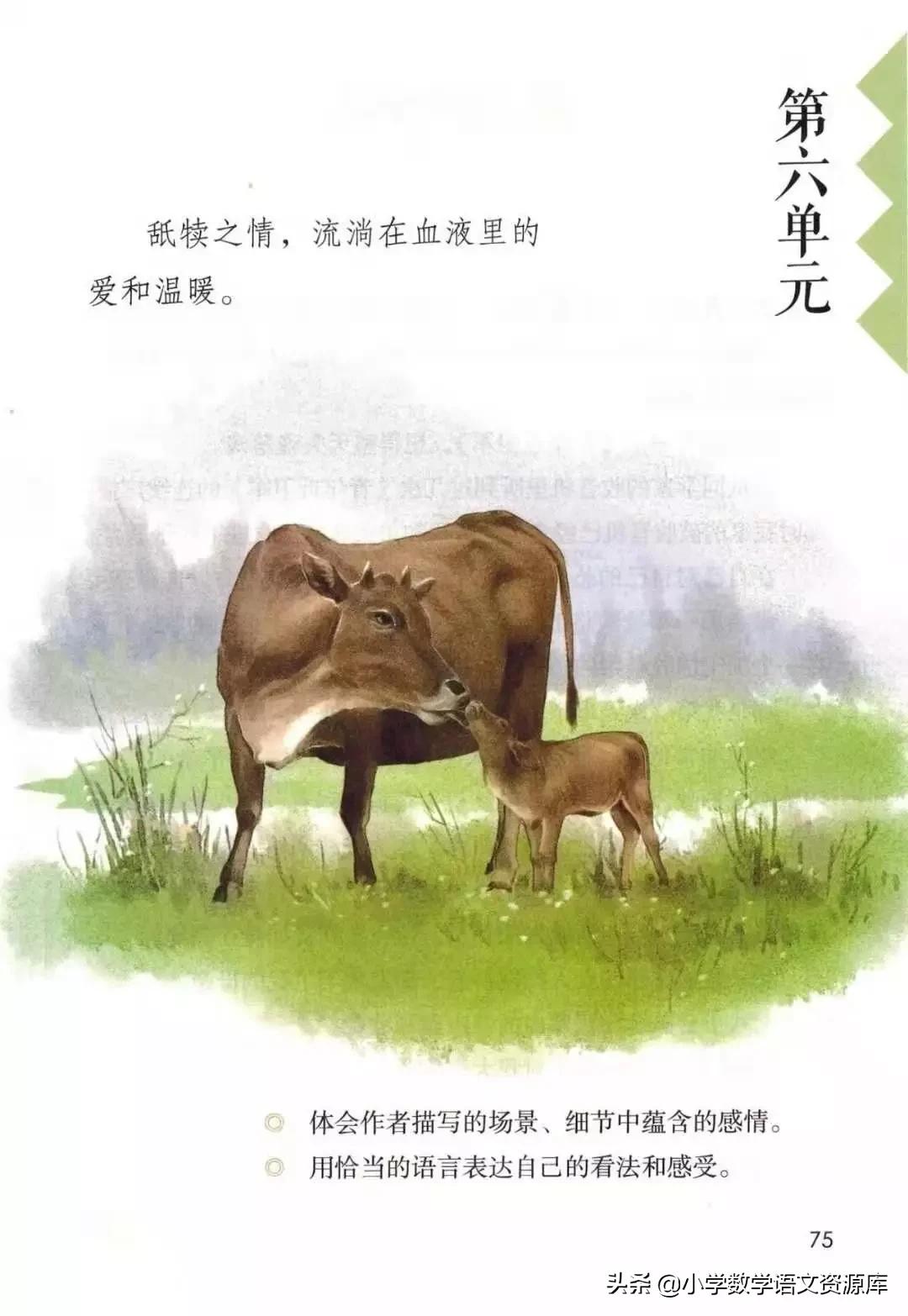 五年级上册语文电子版完整版,五年级语文上册电子版课本完整版