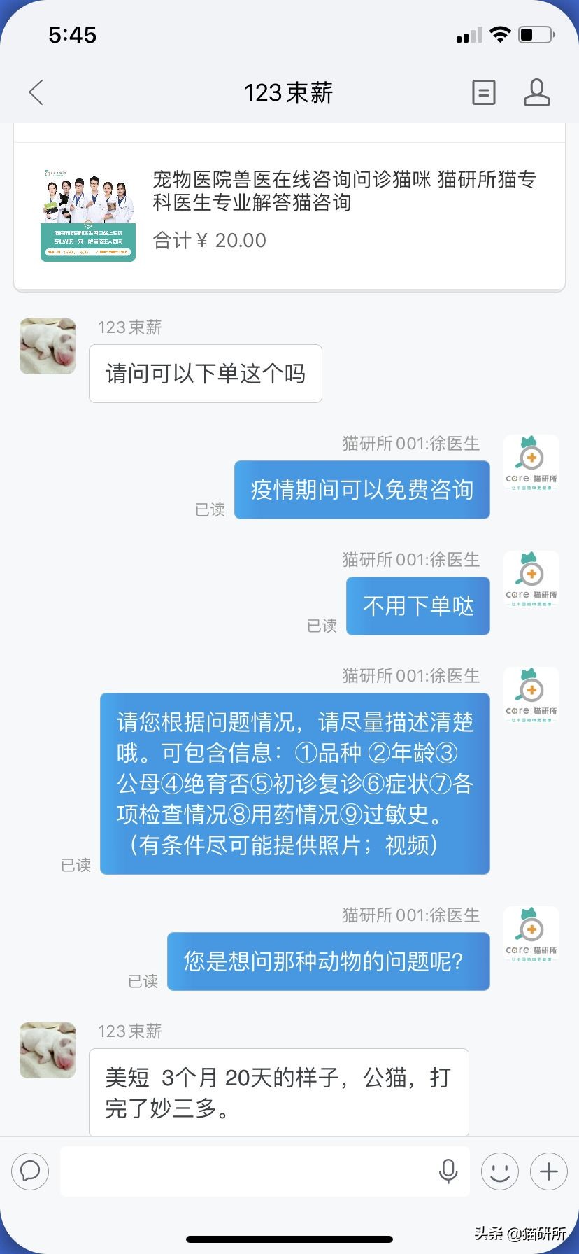 如何挑选一只健康的小猫咪,怎样快速得到小猫咪