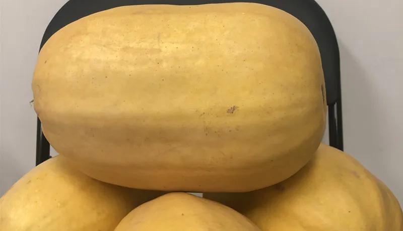 医者仁心大爱精诚,医者仁心济世救人