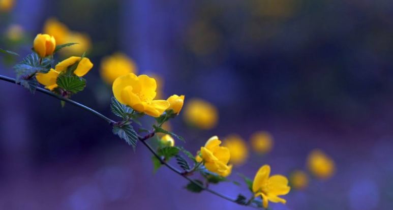 原创诗词七绝新韵,原创诗词五言绝句