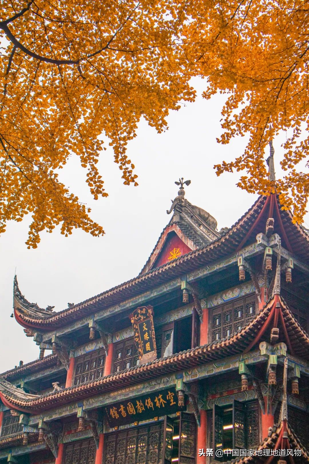 成都是一个安逸的地方吗,成都是个挺安逸的城市