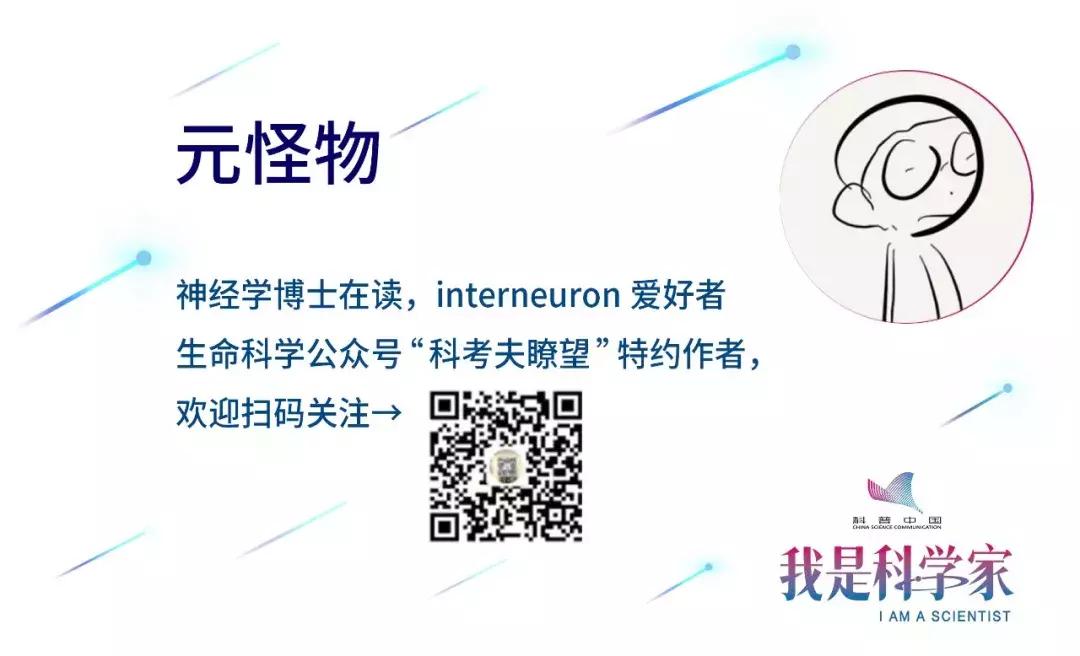 如何让小鼠告别自闭症,让孤独症儿童走出孤独