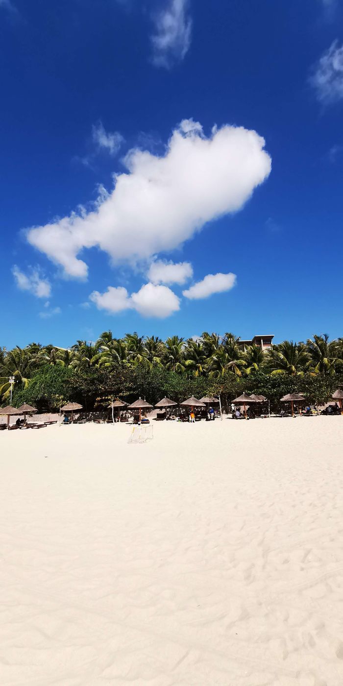 三亚红树林有亲子活动,三亚红树林和海韵