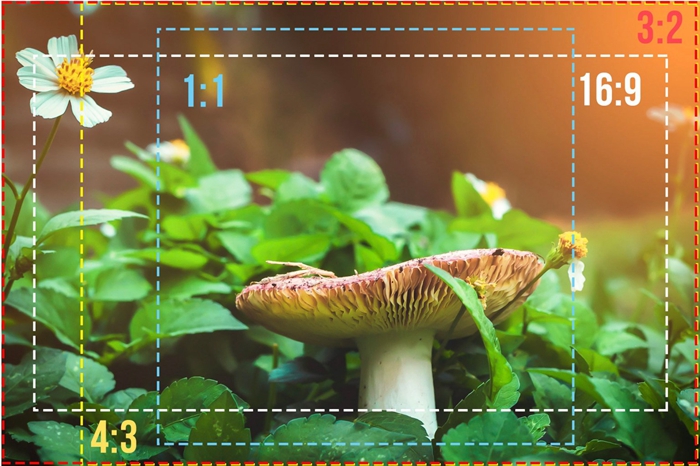 拍的照片打印出来不清晰怎么办,拍照的图片不平整怎么打印清晰