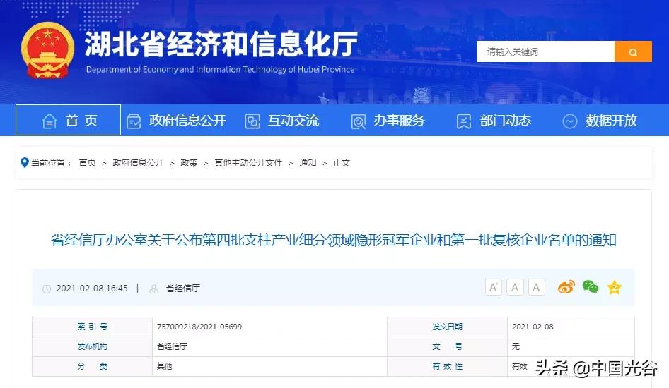 武汉光谷新增企业名单,武汉光谷有多少家高新企业