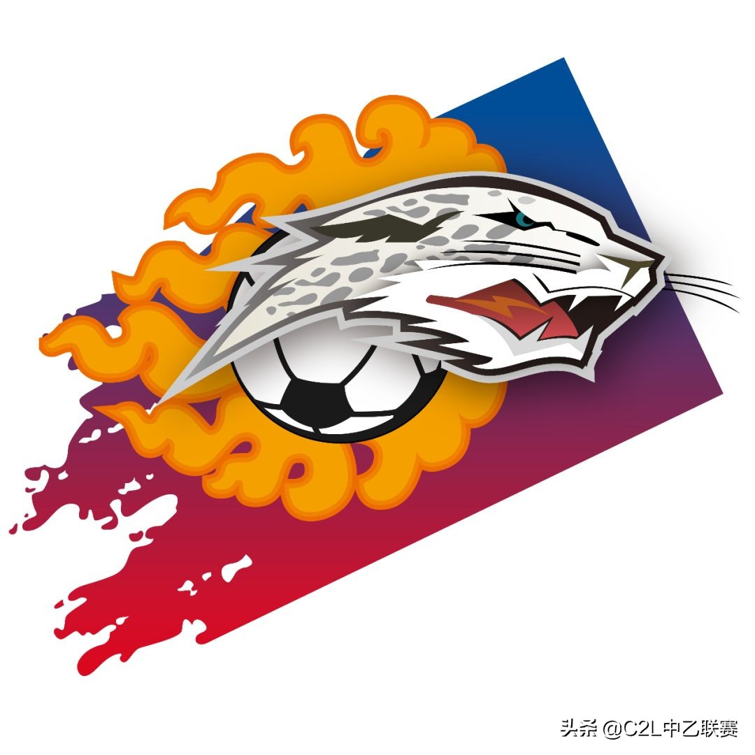2018年32强足球队队徽,2016中乙队徽