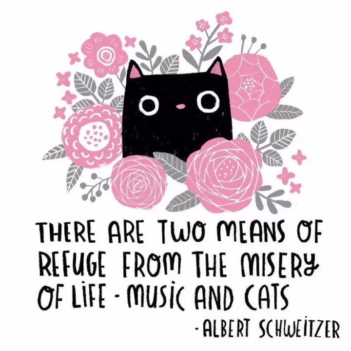 姑娘1天画1只猫坚持了100天 (坚持画猫100天的姑娘太有才了)