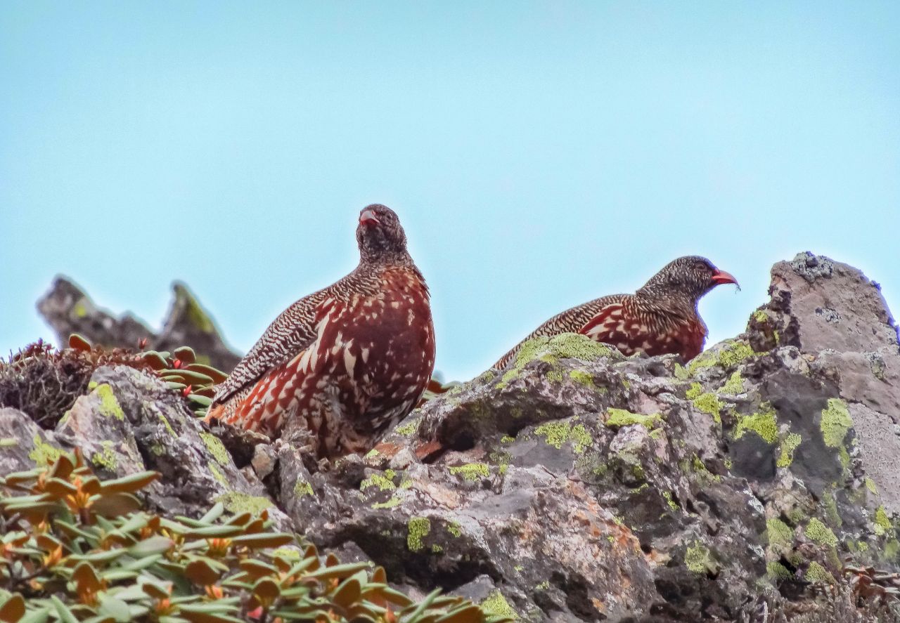 从高山之巅到深海之渊,流石滩徒步攻略