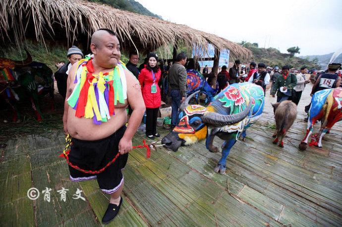 水牛身上画画,水牛身上画了牛郎织女画面