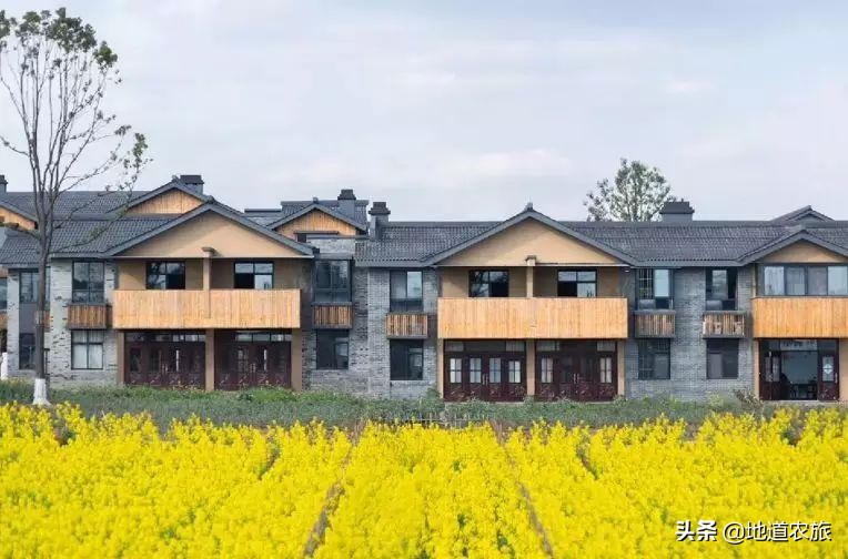 田园综合体和特色小镇有区别吗,成都和盛田园综合体