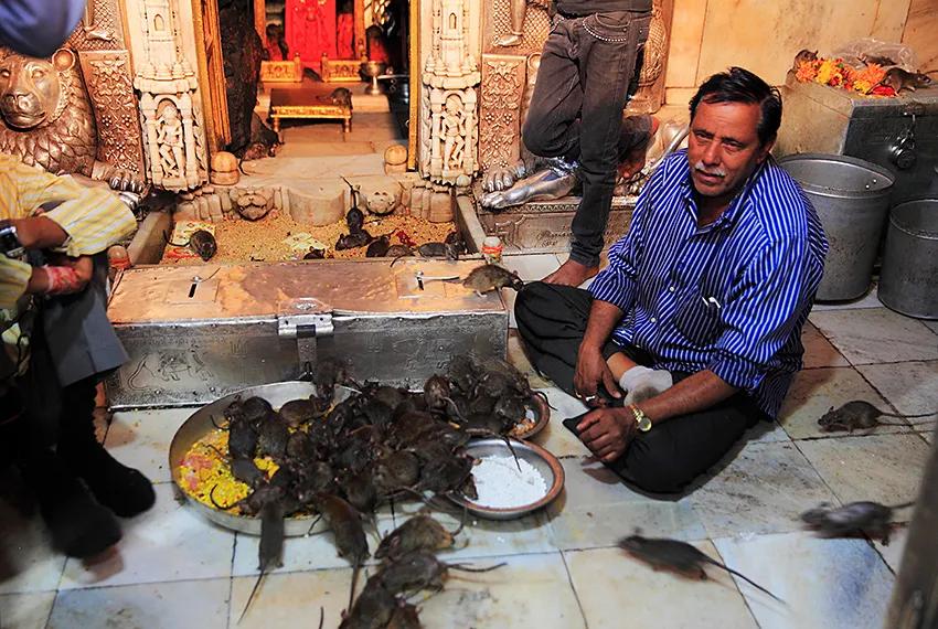 你不知道的国家冷知识印度篇,关于印度的冷知识你知道多少