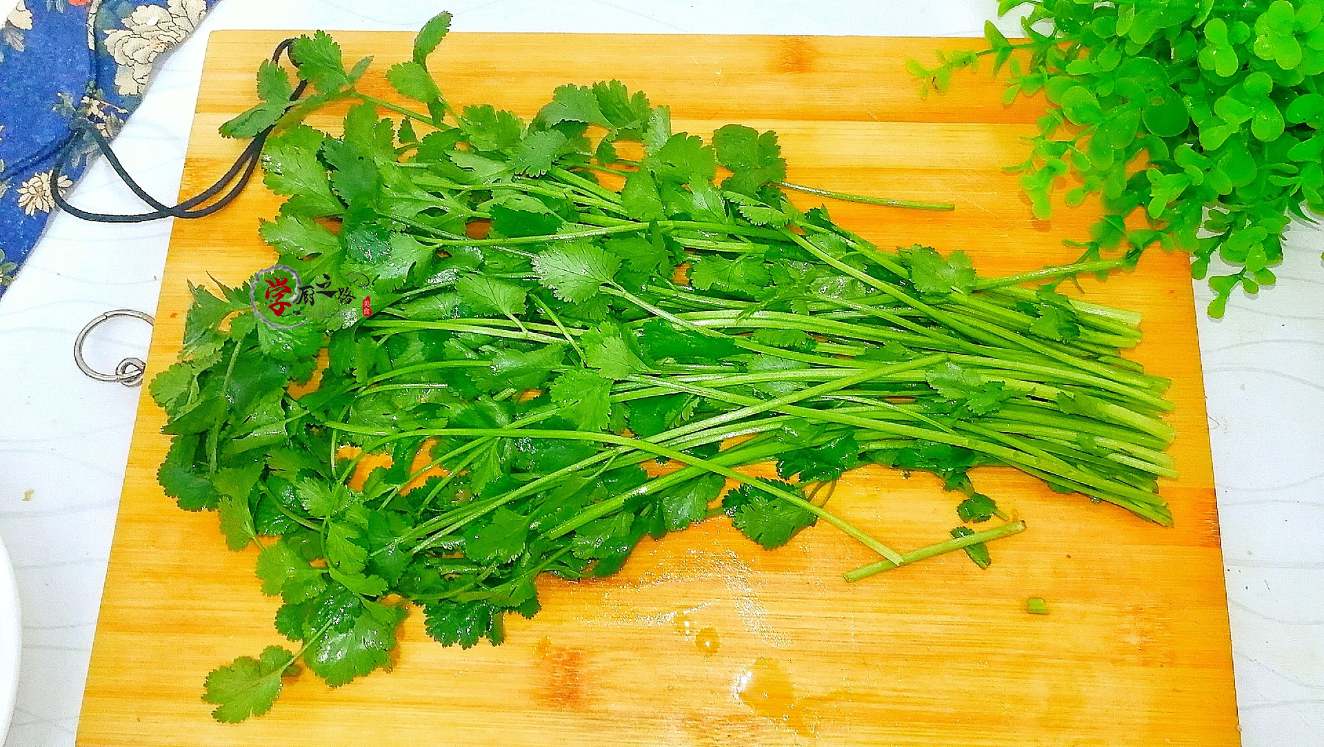 孜然羊肉快速软烂的秘诀,孜然羊肉熟肉做法