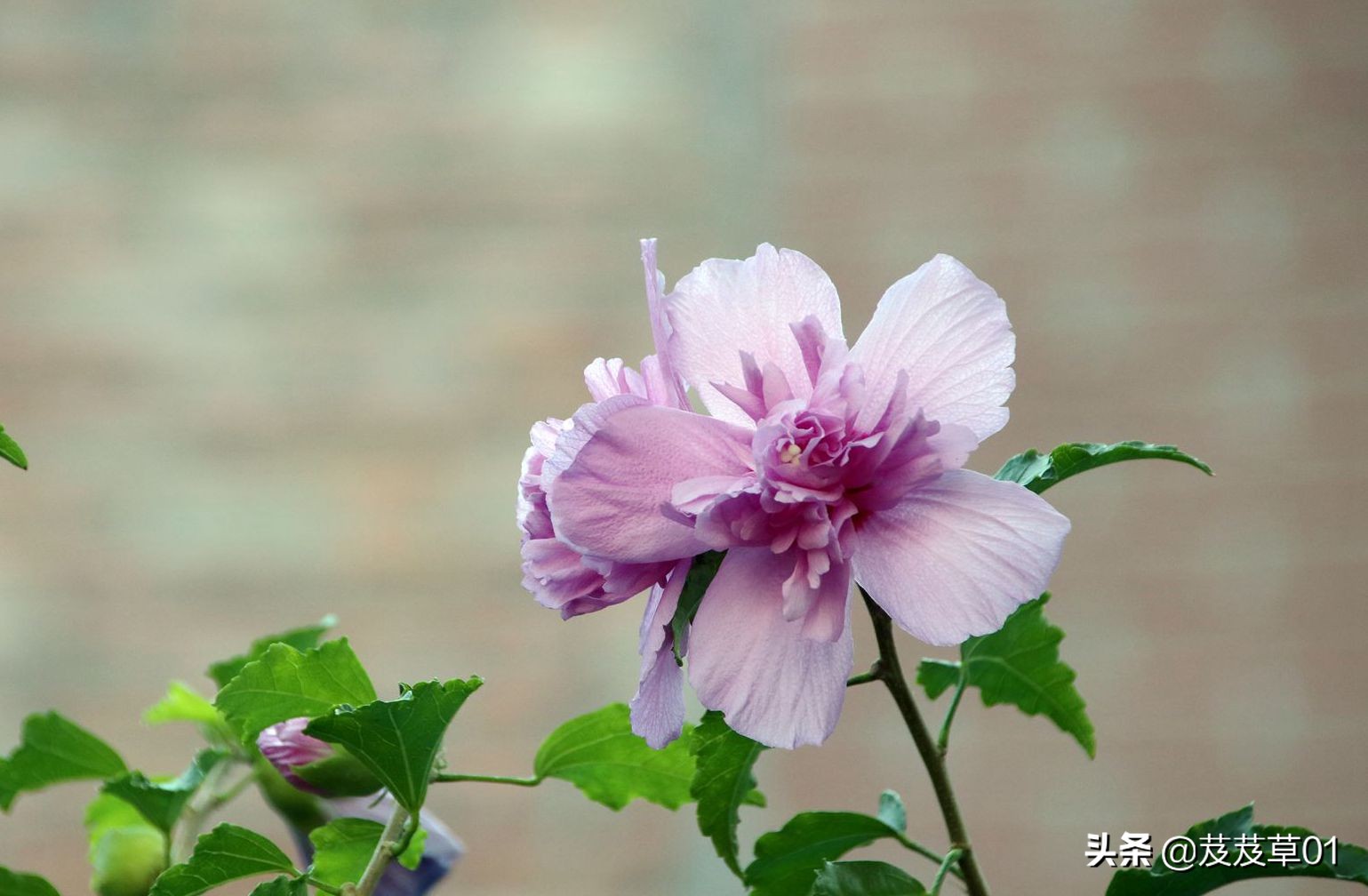 与老年人沟通的说话技巧,老年人语言沟通技巧