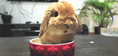 经常用一边咀嚼脸型不一样怎么办,脸型不对称用哪边咀嚼好