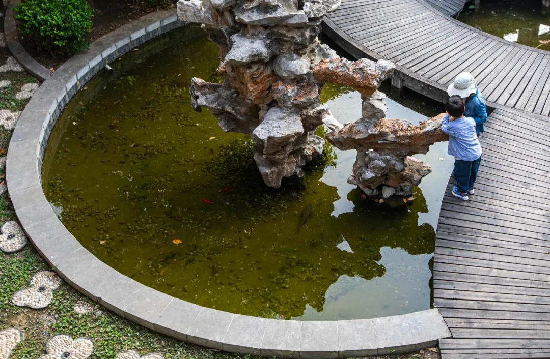 隐藏在繁华都市里的小清新酒店,风景绝美适合度假的酒店