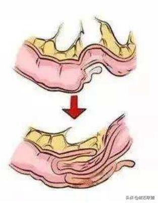 狗狗不爱喝水但是一直尿,狗狗不爱吃饭只有特别饿了才吃