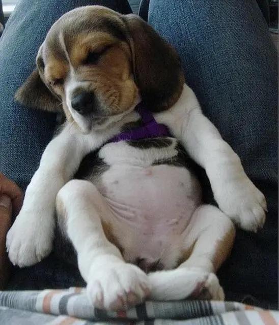 多彩贵州美丽的黔南都匀,美丽贵州都匀市