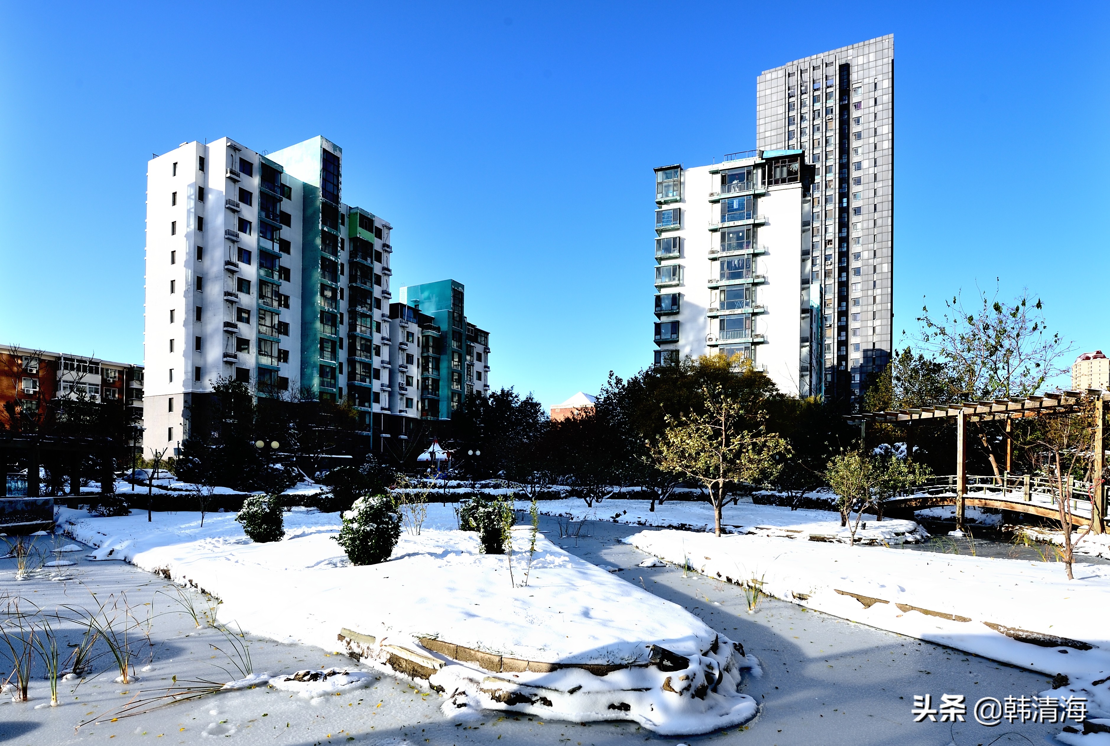 天津2022年雪景,天津第一场雪的美景