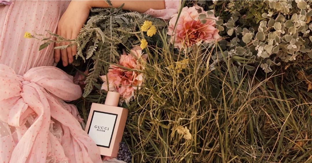 gucci鑺辨偊缁芥斁纾ㄧ爞,gucci鑺辨偊绻佽姳鐩涘浜夊鏂楄壋