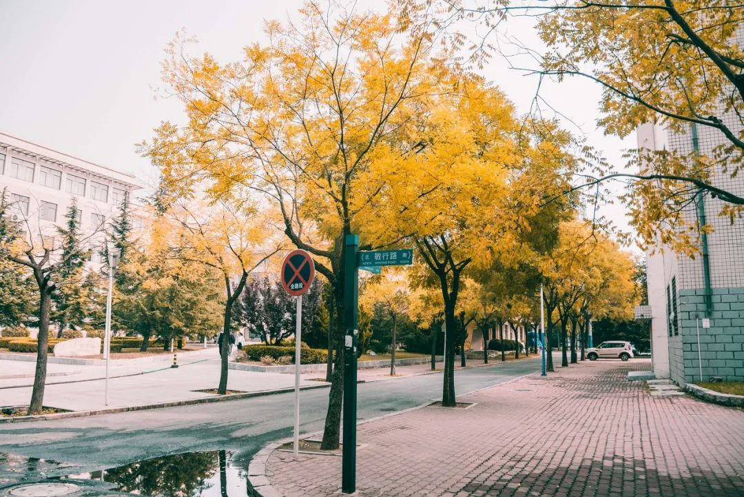 忽然想去旅游了,忽然想去宁波了