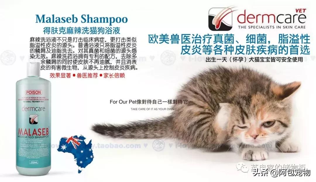 主子生病了怎么办,主子得猫癣了该用什么药